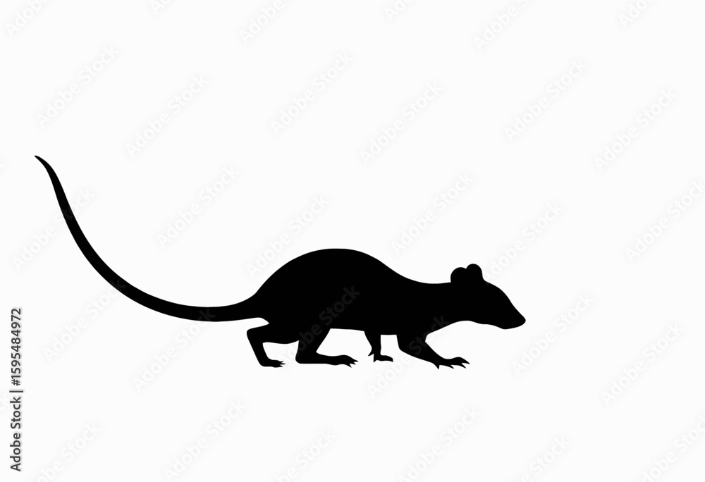 Fototapeta premium Silhouette of a small rodent crawling on white background 