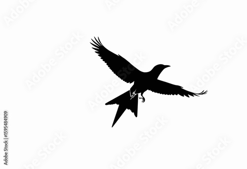 Bird flying with paper airplane in minimalist black silhouette  