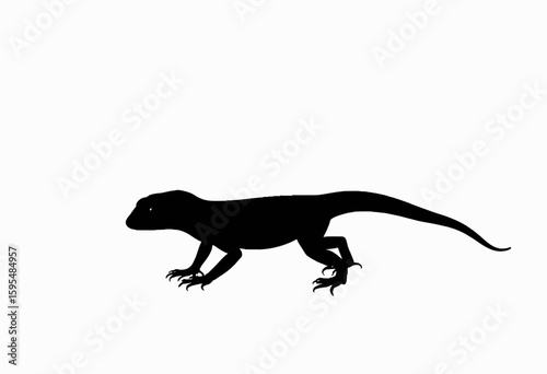 Lizard silhouette walking on a blank background  