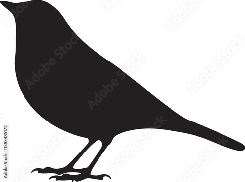 Finch bird silhouette, finch silhouette vector illustration with a white background