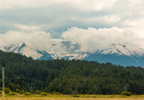 View of the Pirin Mountains and evergreen trees from a hiking trail near Bansko in southeastern Bulgaria
