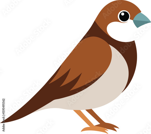 bird of a vector color Art 