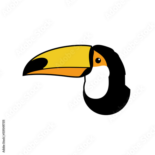 A modern flat vector illustration of a toco toucan