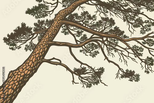 Close-up of cracked pine tree bark with deep textures and earthy tones, representing age and resilience in nature, modern flat illustration style