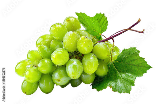Fresh green grapes harvest farm market food photography nature. Isolated on transparent background, png.