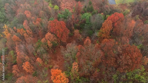 Aerial footage of forested land near Jackson Michigan on a foggy day in late autumn. The grand river snaking through colorful trees