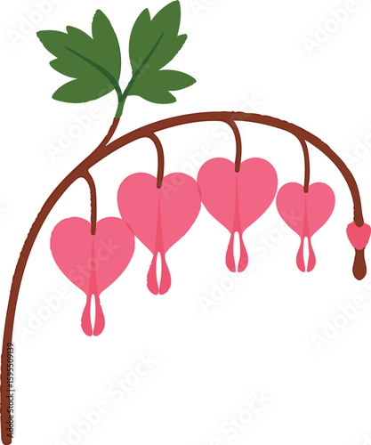 Flat vector bleeding heart flower with pink heart-shaped blossoms and curved stem, vector-friendly, isolated on white