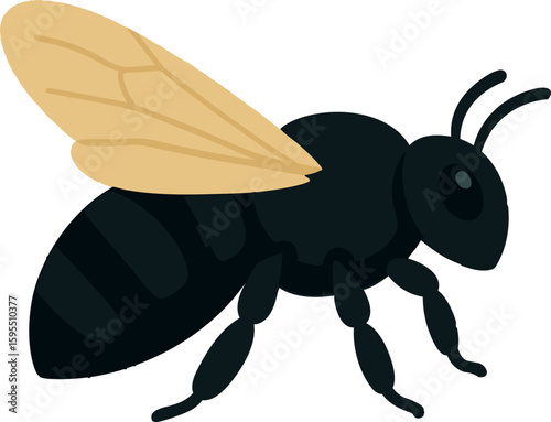 Flat vector carpenter bee with bulky black body and soft wings, side view, vector-friendly, isolated on white