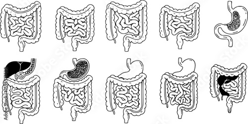 Set of guts vector icons. Linear intestines or bowel. Human organ. Vector 10 Eps.

