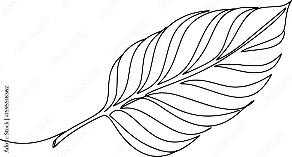 Obraz premium One continuous line leaf. Linear plants. Hand drawing leaves. Vector 10 Eps. 