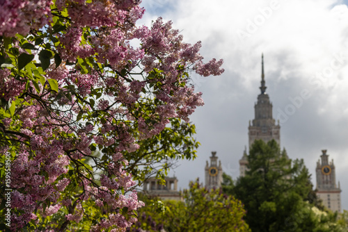 lilac and Moscow University on background in cloudy day
