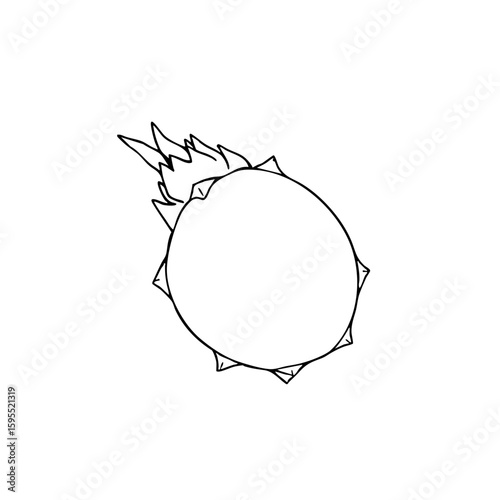 Simple line sketch of a dragon fruit with flames  