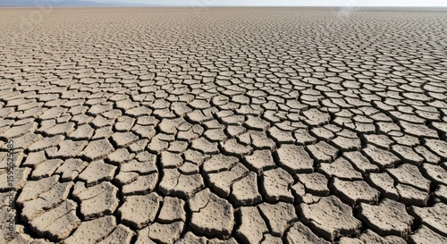 Cracked Dry Earth Surface Under Intense Sunlight