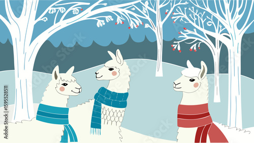Three llamas wearing colorful scarves in snowy winter landscape  