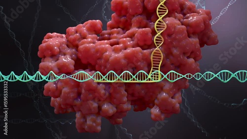 CrispR CAS 9 Gene Editing Tool Animation