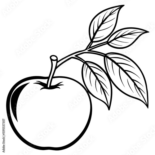 Crabapple Tree Branch Vector Illustration