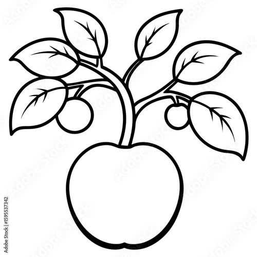 Crabapple Tree Branch Vector Illustration