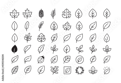illustration, symbol, vector, nature, leaf, sign, outline, plant, icon set, icon symbol, thin, horizontal, design, flower, environment, line icon, oak leaf, set, icon, growth, pack, web, tulip, decora