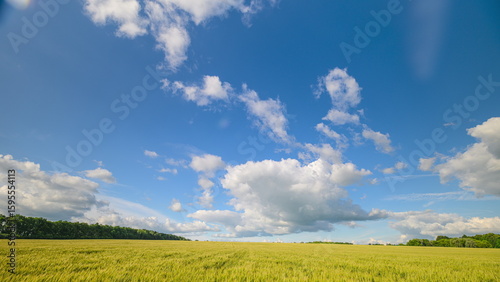 Photography A beautiful sunny landscape featuring a clear blue sky dotted with fluffy white