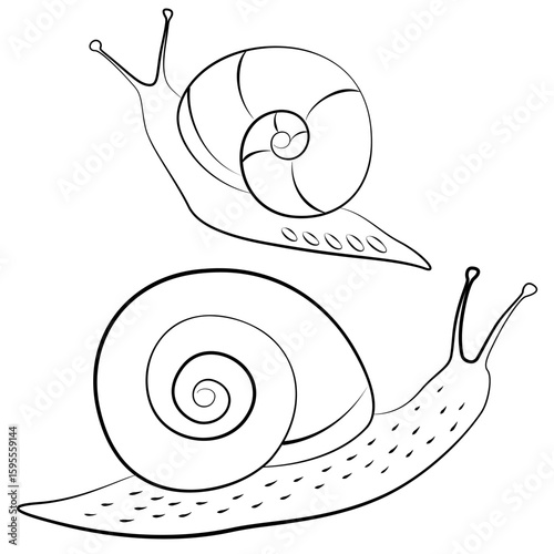 Line vector cute snail. Snail crawling line drawing. Black and white mollusk in cartoon style. Minimalist illustration isolated on a white background. Two snails. Coloring art.