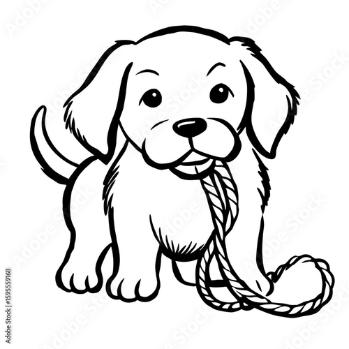 Puppy playing with a rope toy and smiling happily  