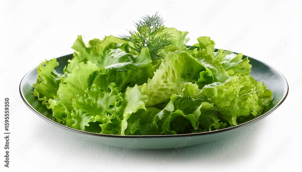 fresh green rapunzel salad on white background fresh green rapunzel salad on white background