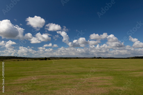 Fototapeta Naklejka Na Ścianę i Meble -  A view of vast open meadows with fresh green grass against a bright blue sky with scattered white clouds in the New Forest National Park on a sunny late summer afternoon.