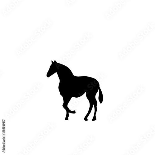 Horse Silhouette