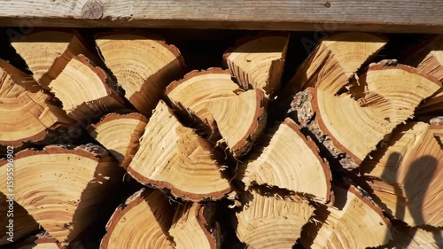 Stacked Firewood Logs Close-up with Wood Grain Details