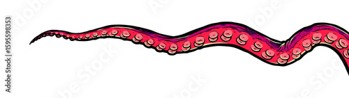 Purple octopus tentacles reaching upwards, squid-like marine animal body parts protruding from out of frame, cut for food or frame design, cartoon colour sketch anime vector illustration. 
