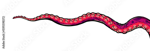 Purple octopus tentacles reaching upwards, squid-like marine animal body parts protruding from out of frame, cut for food or frame design, cartoon colour sketch anime vector illustration. 