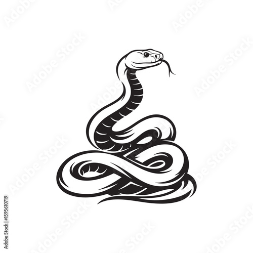 A coiled cobra serpent in a striking pose for a tattoo design