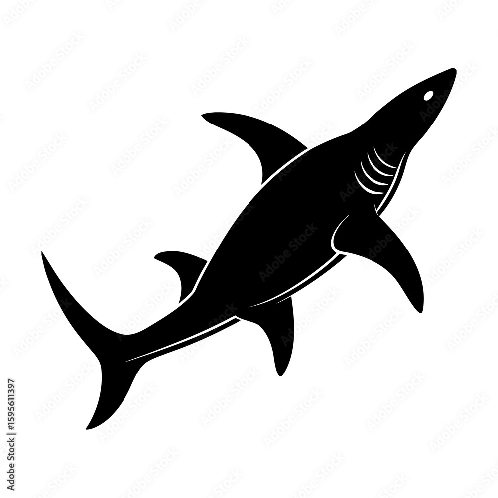 Obraz premium Hammerhead Shark Vector