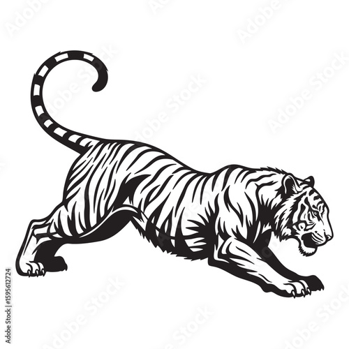 A stalking Bengal tiger big cat predator vector for a mascot