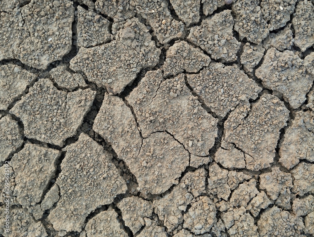 Close up dry and cracked soil surface texure background Close up dry and cracked soil surface texure background