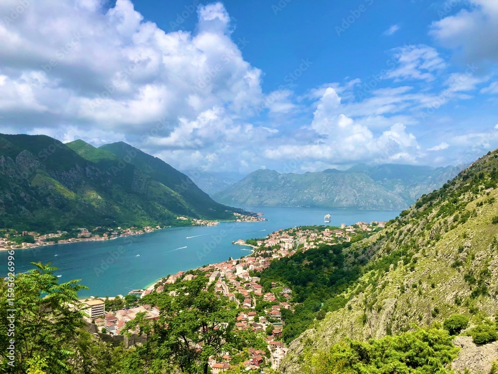 Fototapeta premium Tree-Lined Path Leading Into Scenic Mountain View