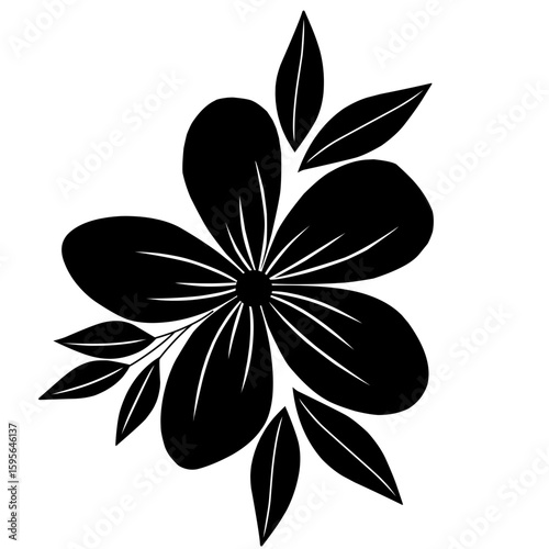 black and white flower isolated