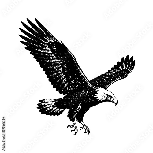 eagle flying in the sky sketch engraving black and white outline. Scratch board imitation.