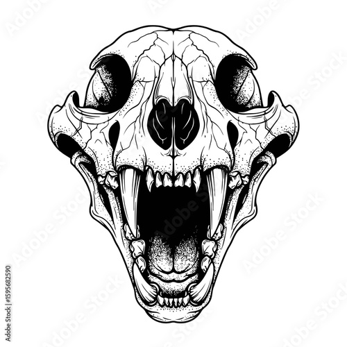 Hand drawn illustration of tiger head skull outline design for print, tattoo flash