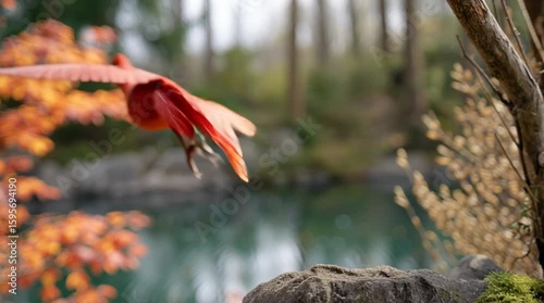 Mythological phoenix bird - a wild creature in nature that doesn't exist