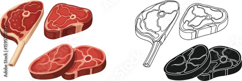 Illustration of raw meat steaks and chops for cooking and grilling delicious food recipes design