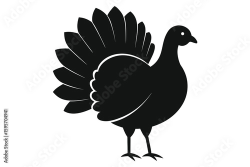 Striking solid black silhouette of a male turkey