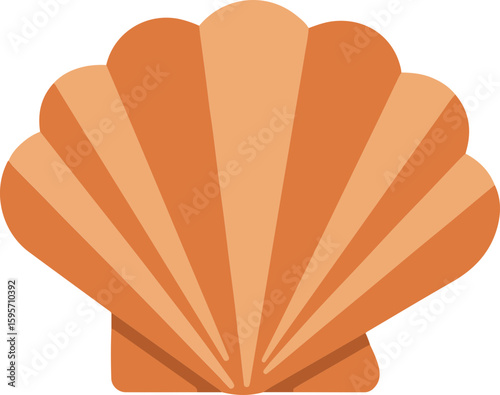 Seashell