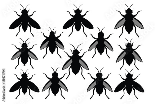 Collection of ten black fly silhouettes arranged