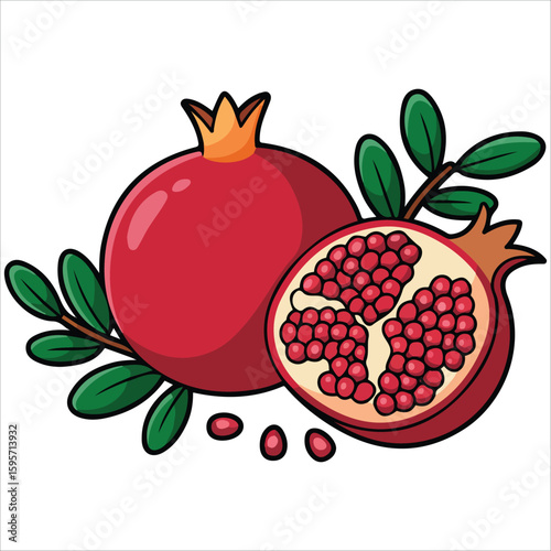 Pomegranate fruit healthy food vector