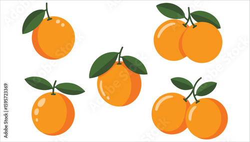 Tangerines on branch citrus vector graphic