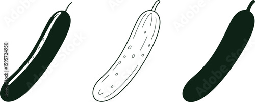 Cucumber illustration set in color line art and silhouette for culinary and educational purposes