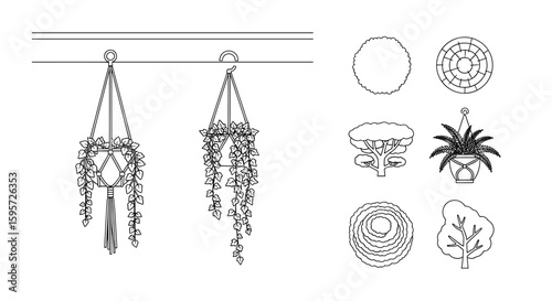 Macrame Plant Hanger: Illustrative sketch showcasing hanging potted plants, embodying a minimalist aesthetic, celebrating the harmony of indoor greenery and serene design.