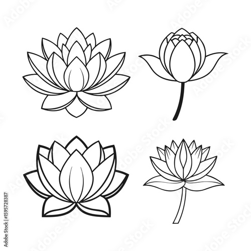 Minimal Lotus Flower Outline in 4 Views – Clean Thin Line Illustration Set