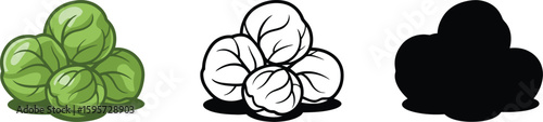 Illustration of brussels sprouts in color line art and silhouette for educational purposes and design 100